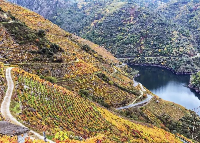 Yourhouse Maca I Apartament